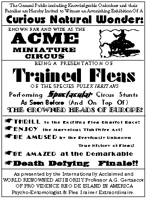 Victorian Flea Circus Postcard